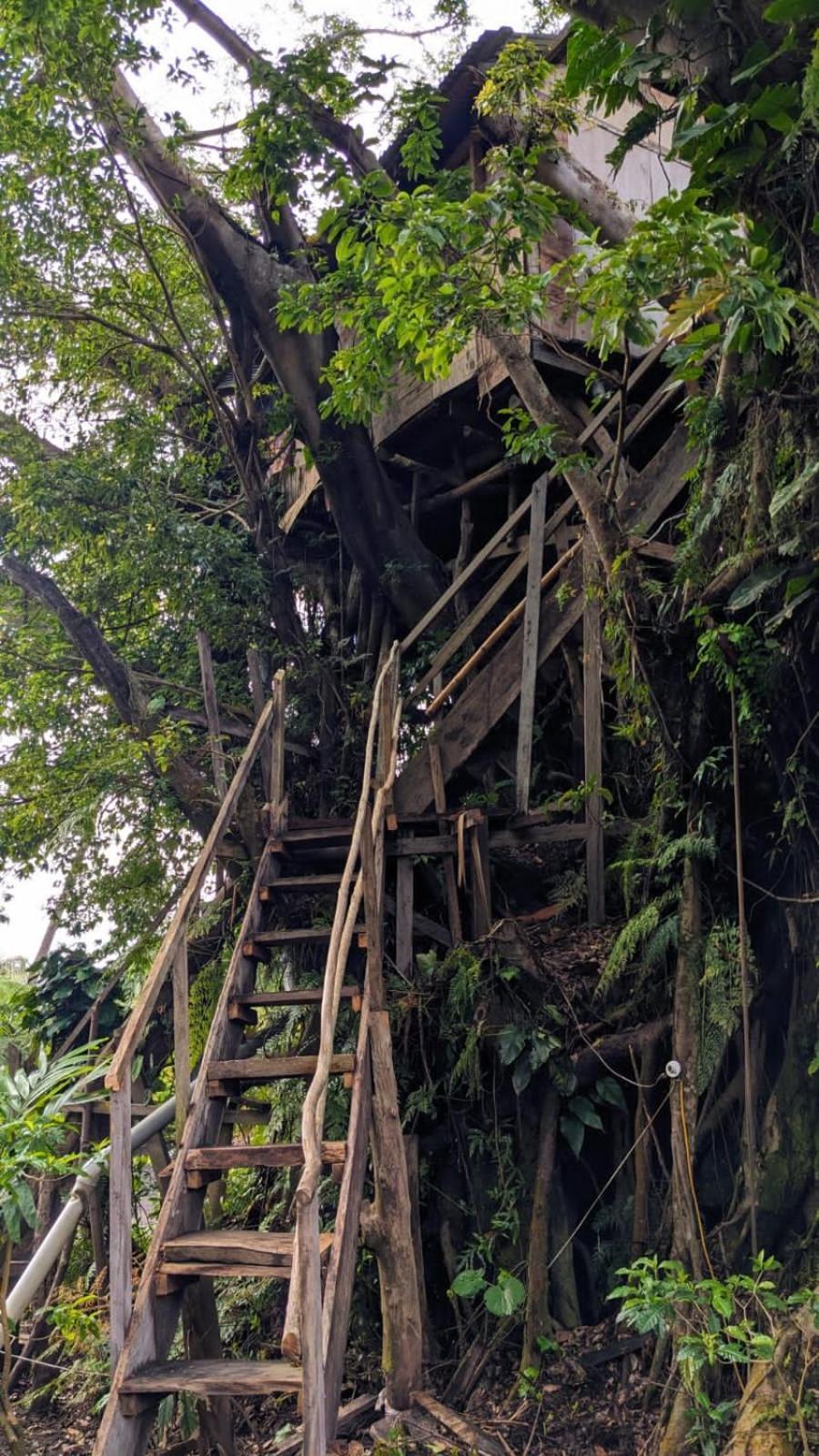 Castle Tree House And Bungalow White Sands Exterior foto
