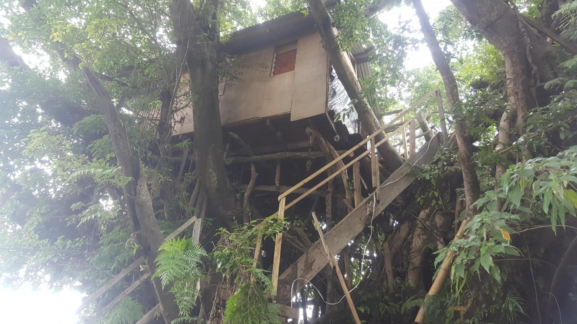 Castle Tree House And Bungalow White Sands Cameră foto