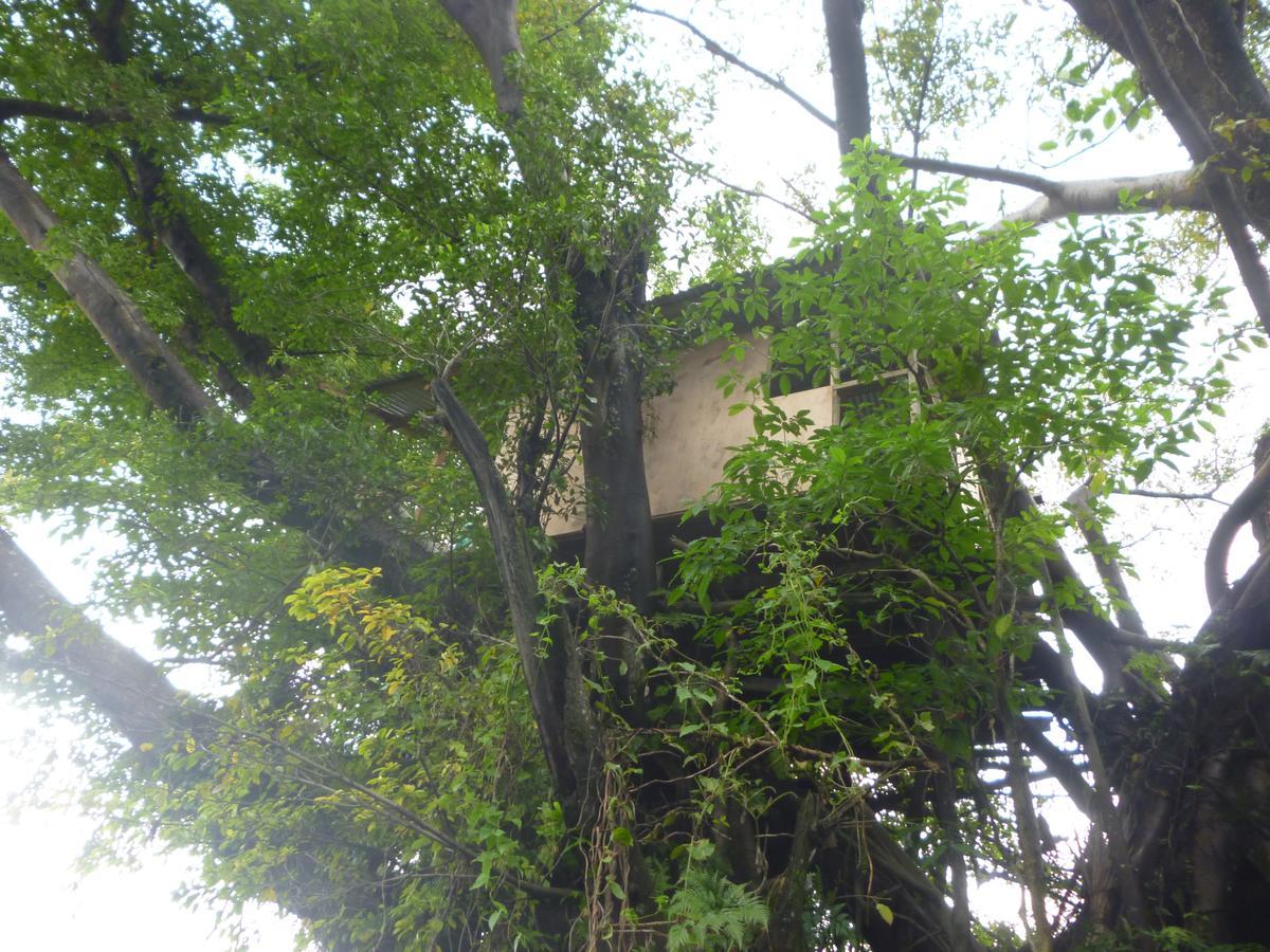 Castle Tree House And Bungalow White Sands Exterior foto