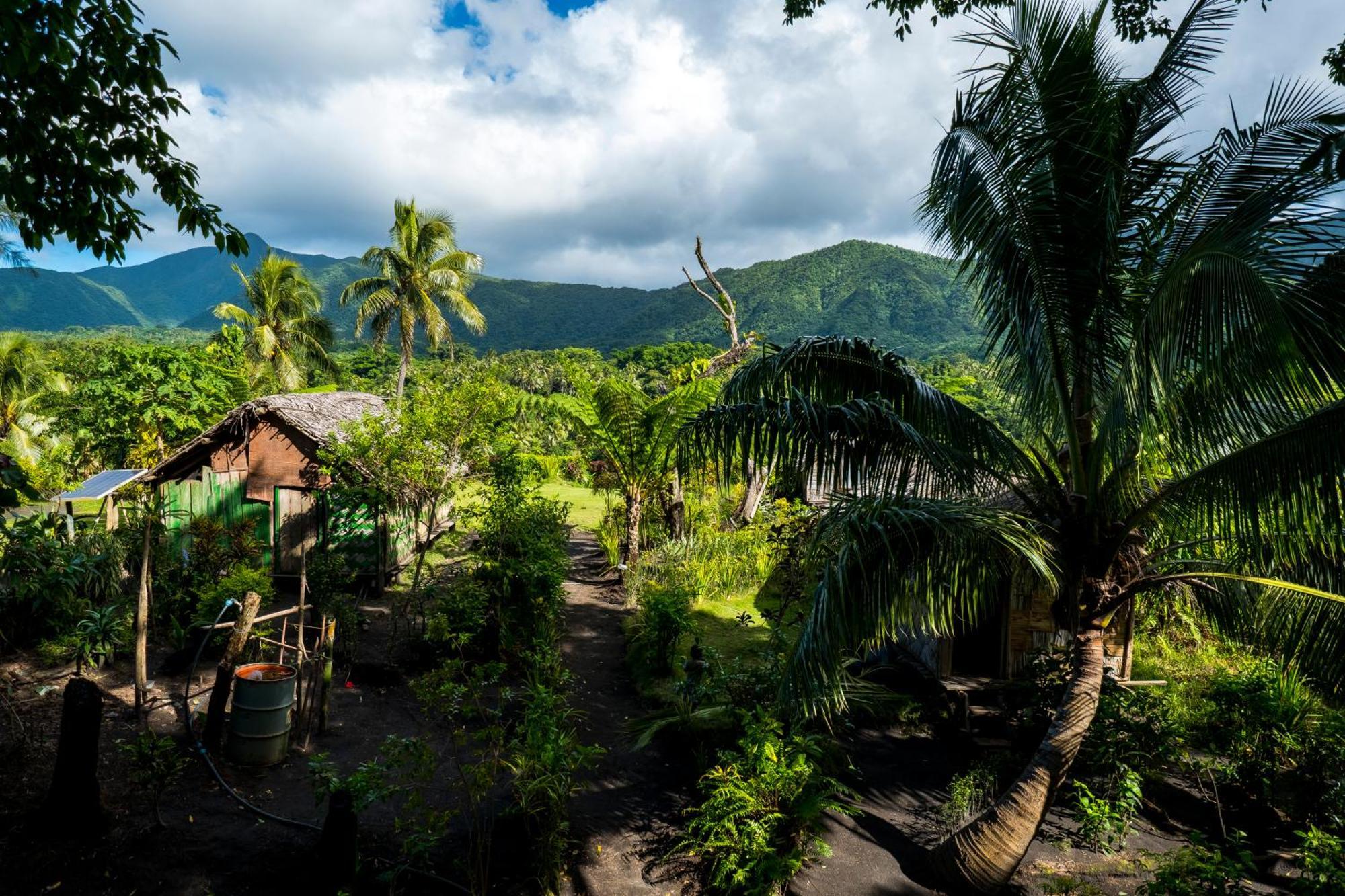 Castle Tree House And Bungalow White Sands Exterior foto