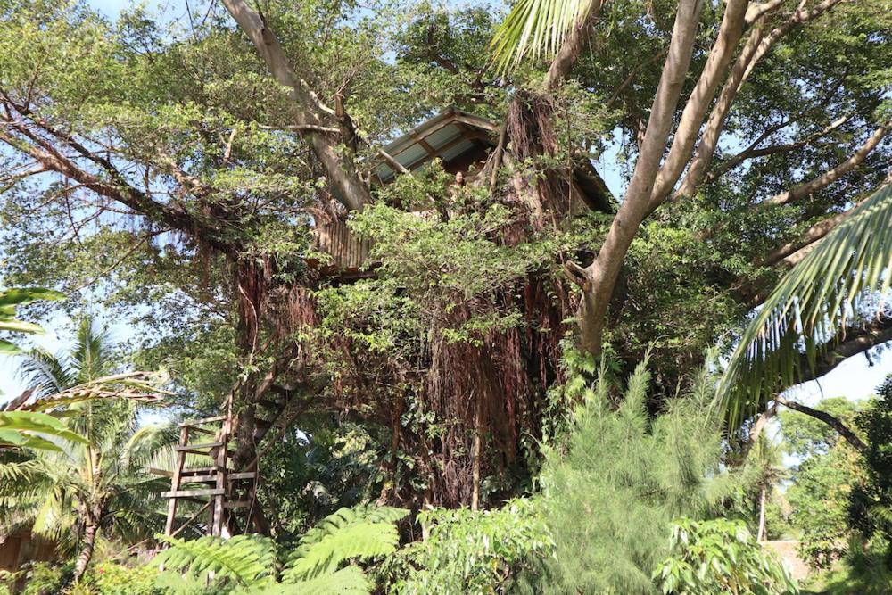 Castle Tree House And Bungalow White Sands Exterior foto