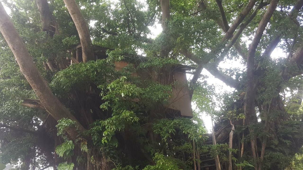 Castle Tree House And Bungalow White Sands Exterior foto